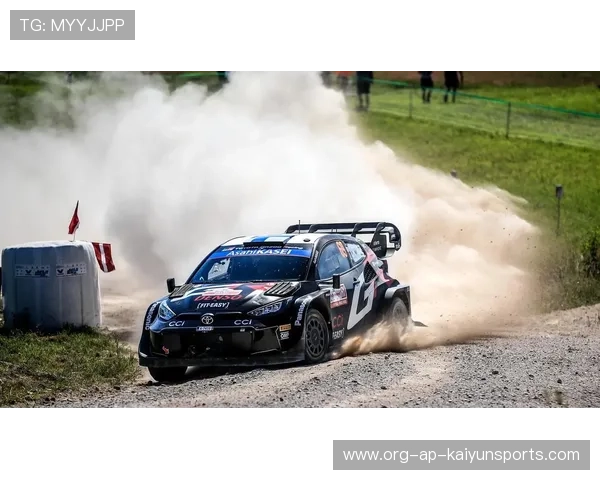 WRC最美赛道：边看比赛边享受自然之美，wrc 比赛