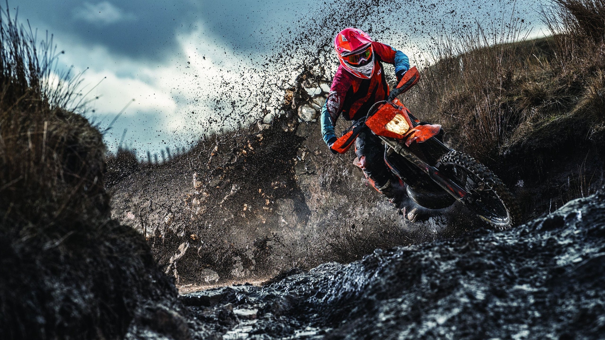 乒乓球青训计划实施 助力挖掘下一个马龙,青少年乒乓球训练计划