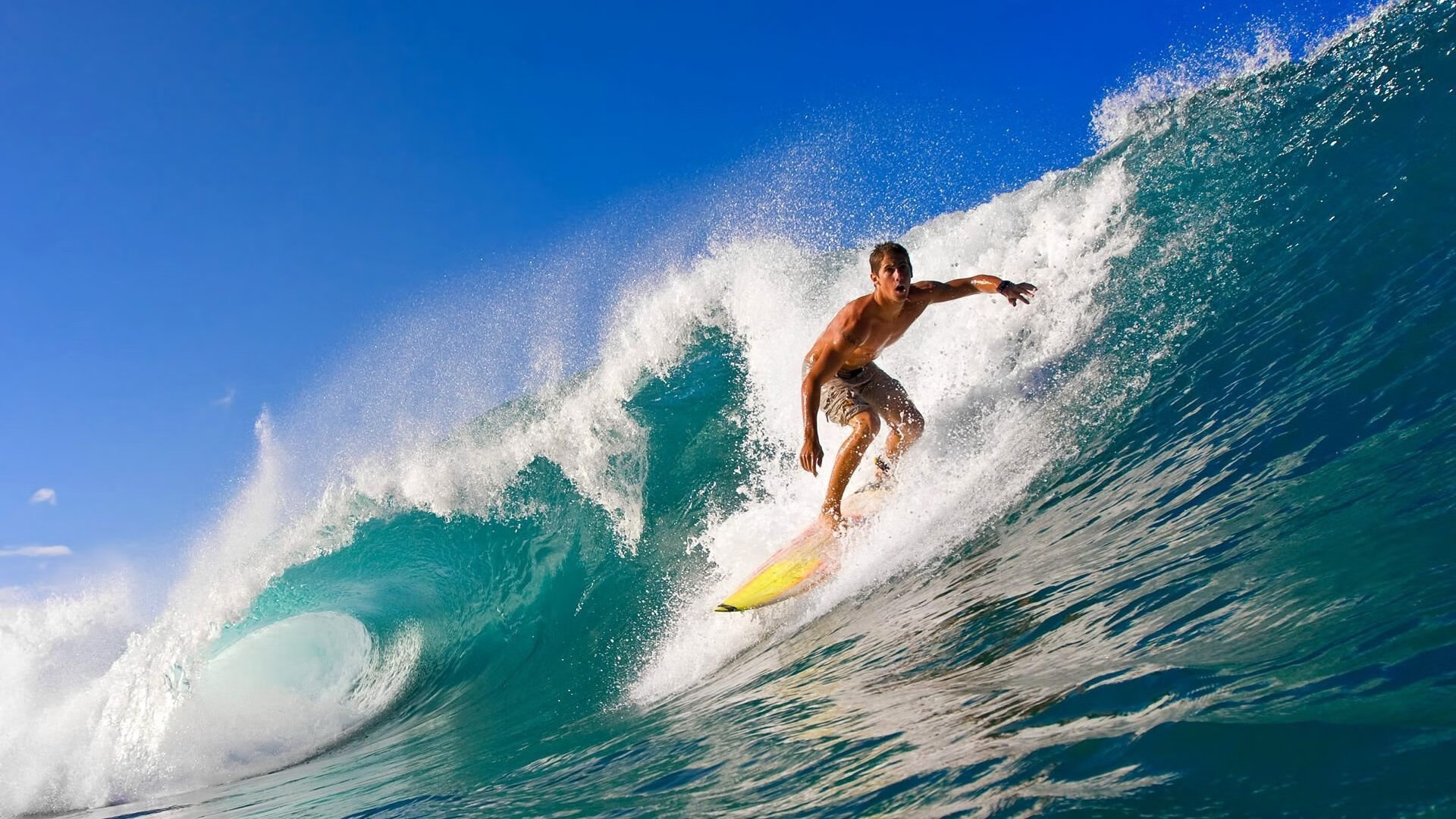 公牛加强对抗积极抢下前场篮板，公牛队篮板