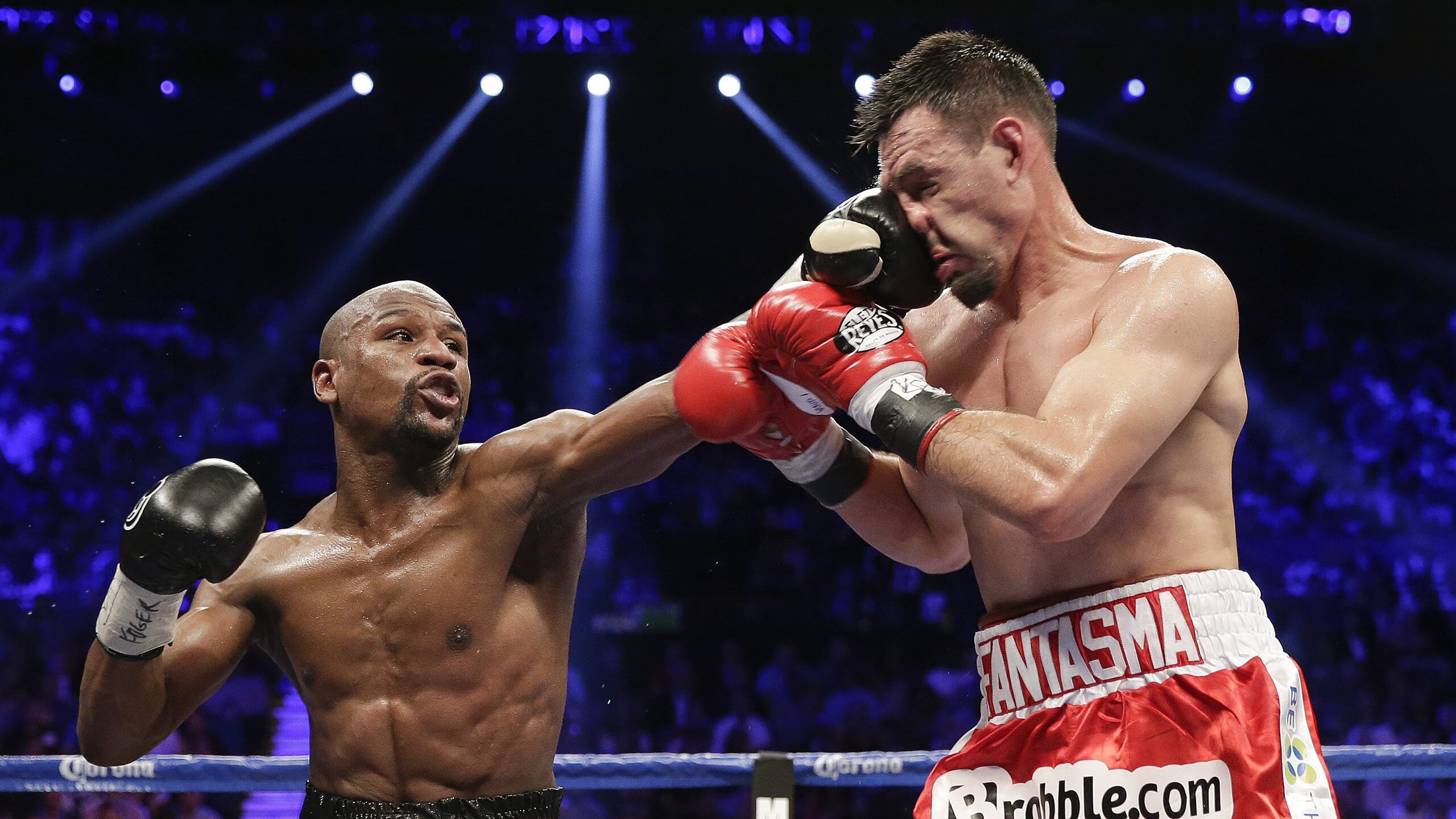 奋斗让中国篮球更加闪亮，奋斗篮球作文